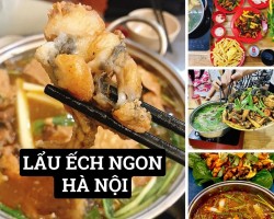 Lẩu Ếch Ngon Hà Nội