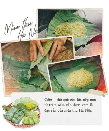 Cốm Hà Nội banner