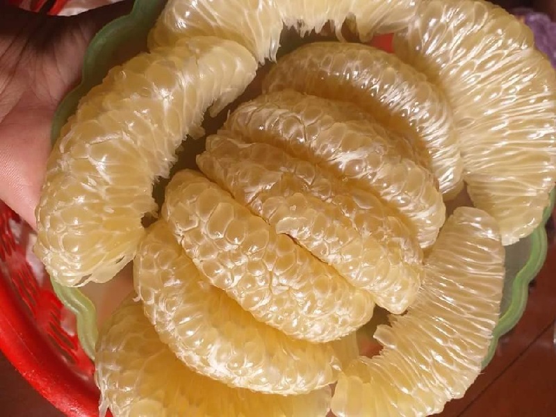 Bưởi diễn Hà Nội