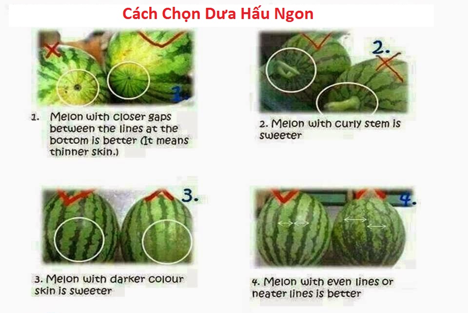 Cách chọn dưa hấu