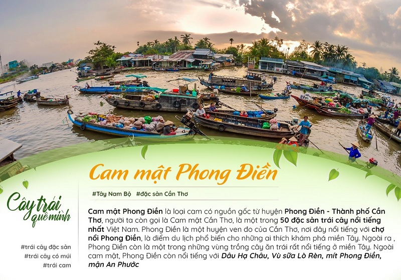 Cam mật Phong Điền Cần Thơ