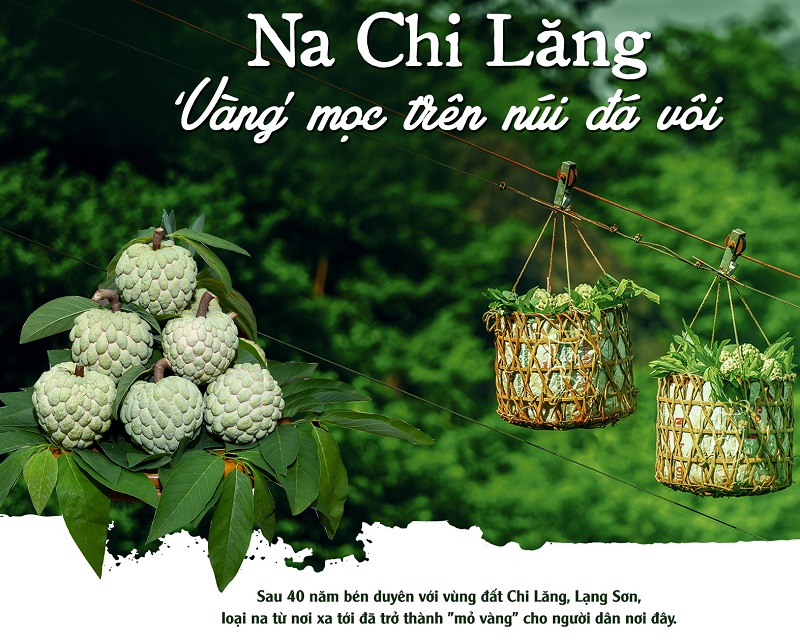 Na Chi Lăng Lạng Sơn