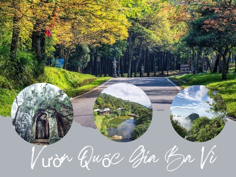 Vườn Quốc Gia Ba Vì